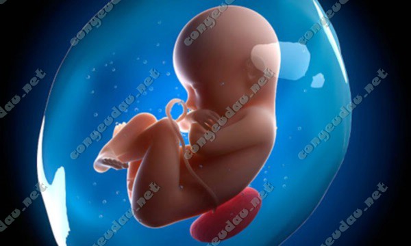 Siêu âm trong thai kỳ và những điều mẹ nên biết